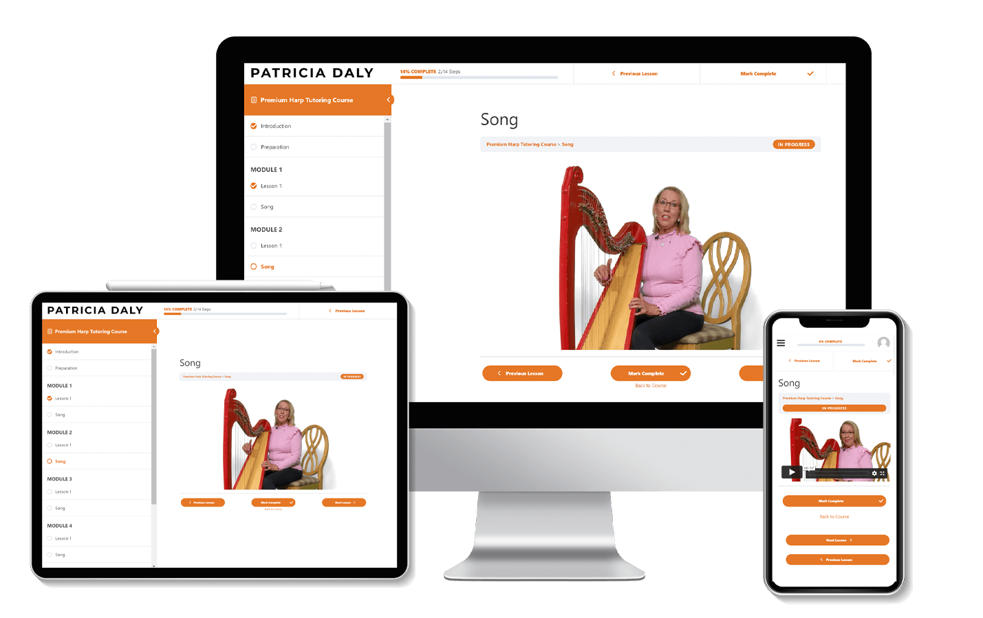 Premium Harp Tutoring Course